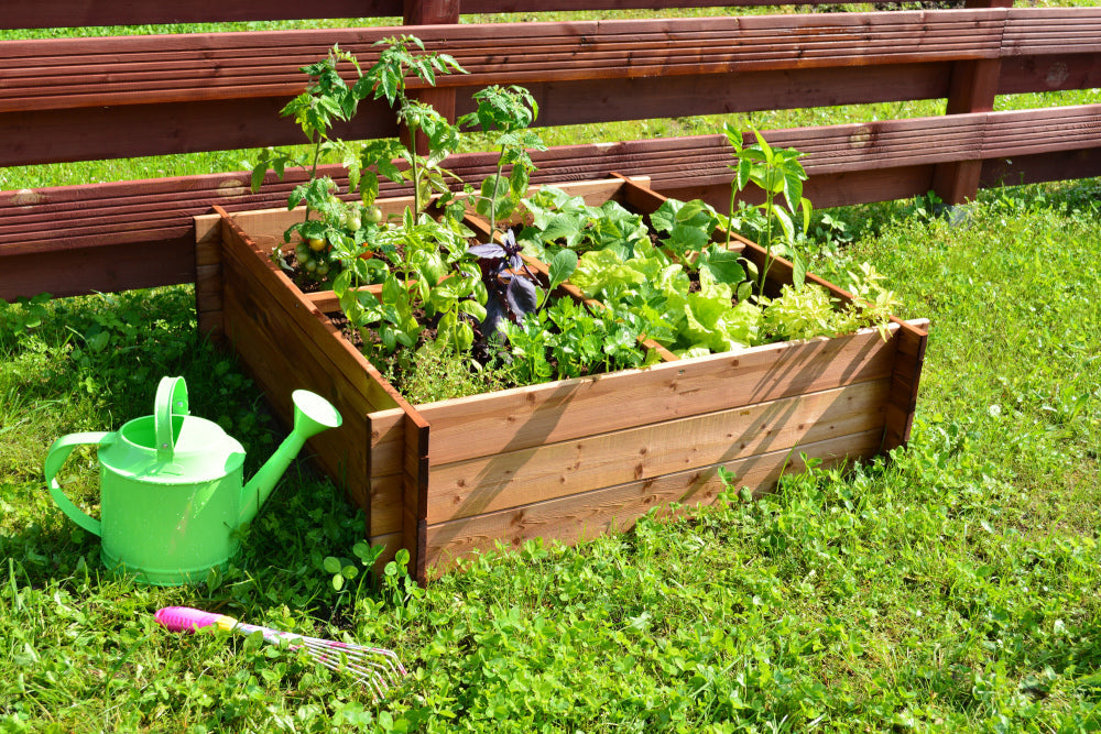 Vegetable bed