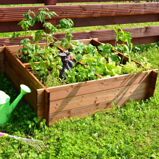 Vegetable bed with 4 sections