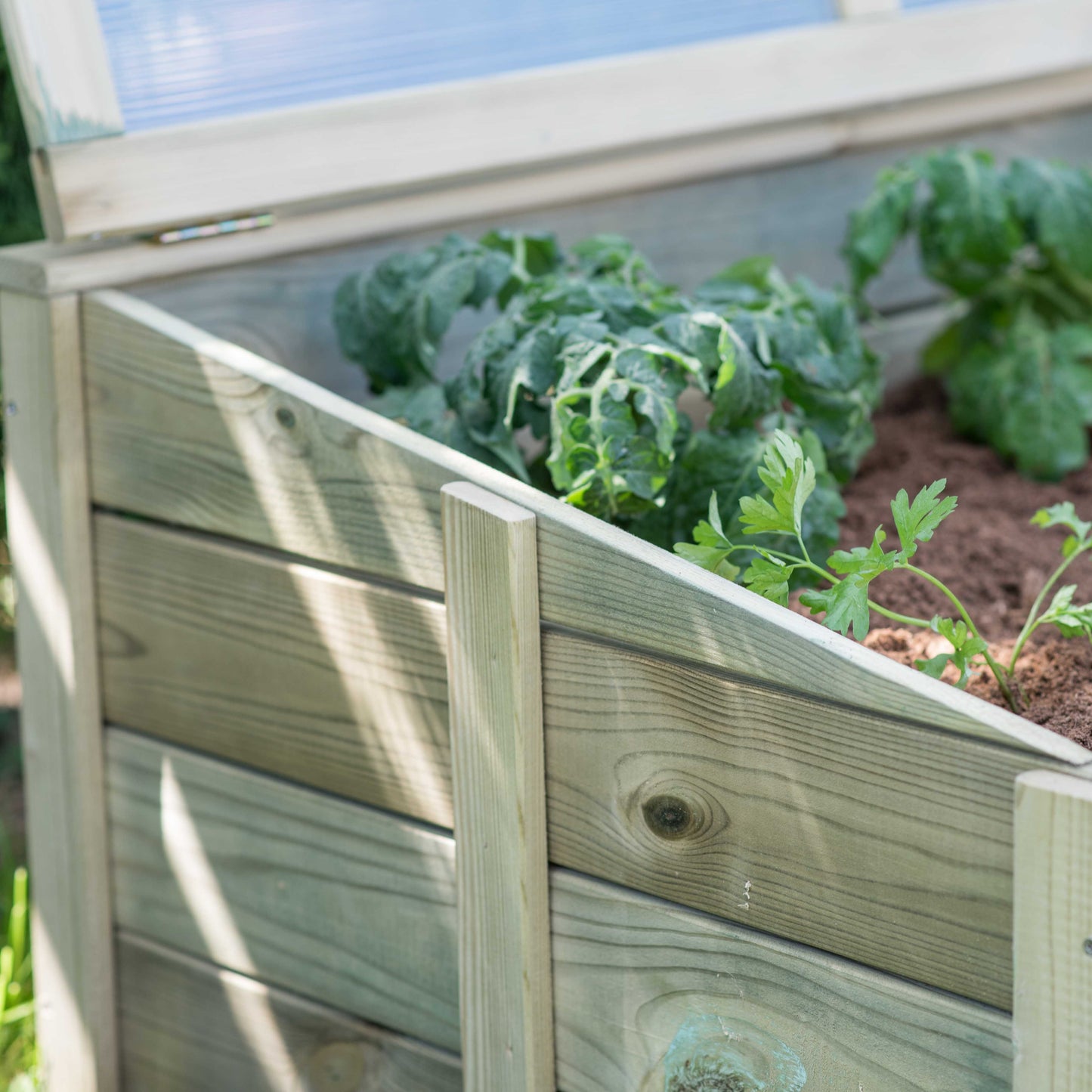 Raised bed - greenhouse