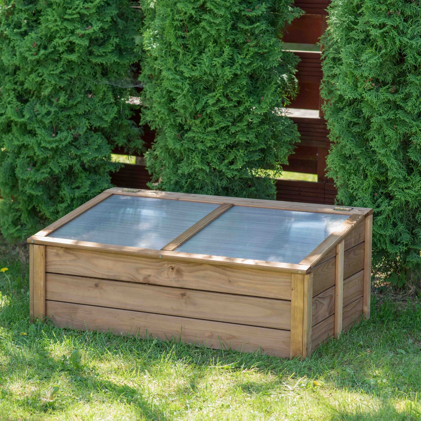 Raised bed - greenhouse