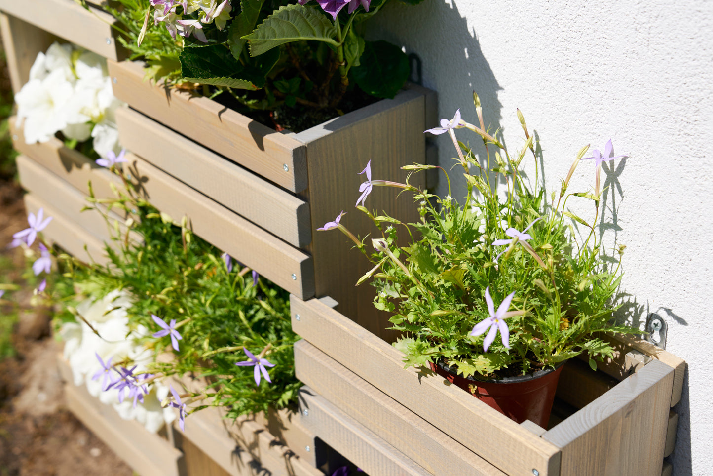 Shelf for herbs