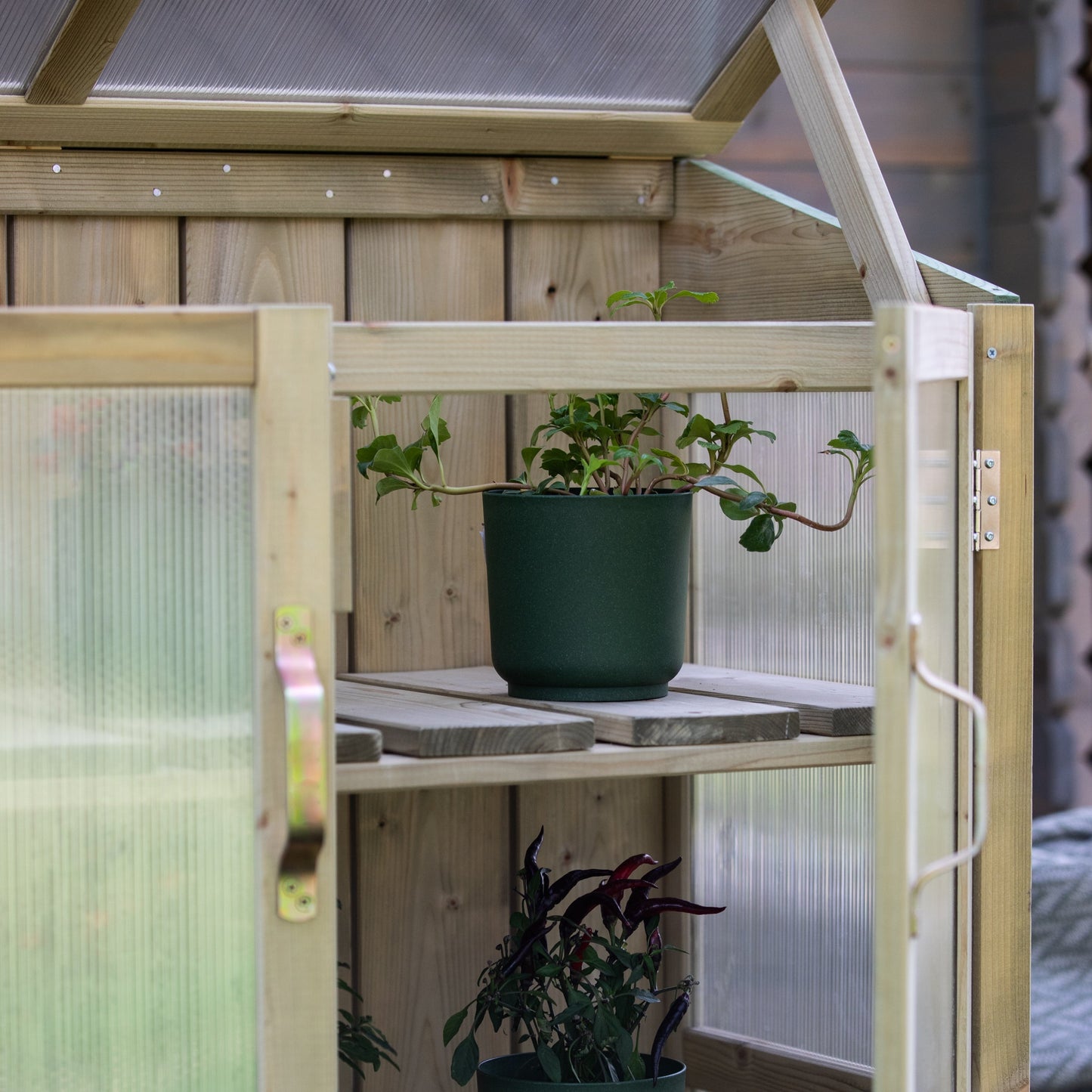 Greenhouse - cupboard