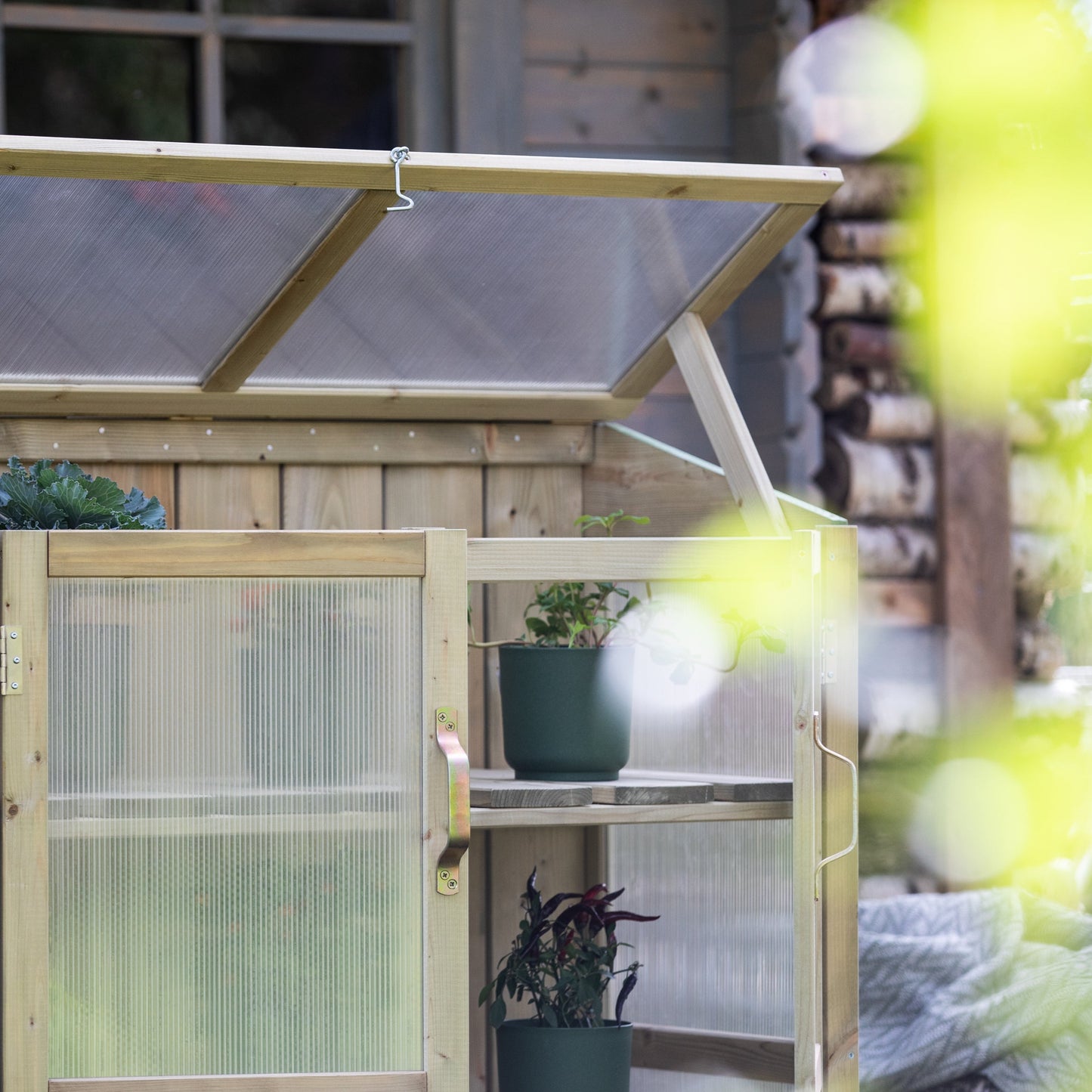 Greenhouse - cupboard