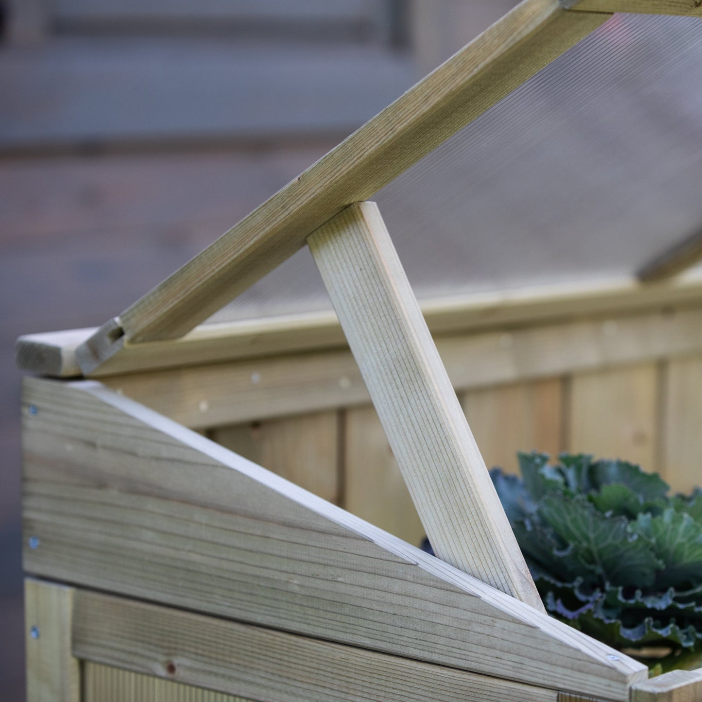 Greenhouse - cupboard