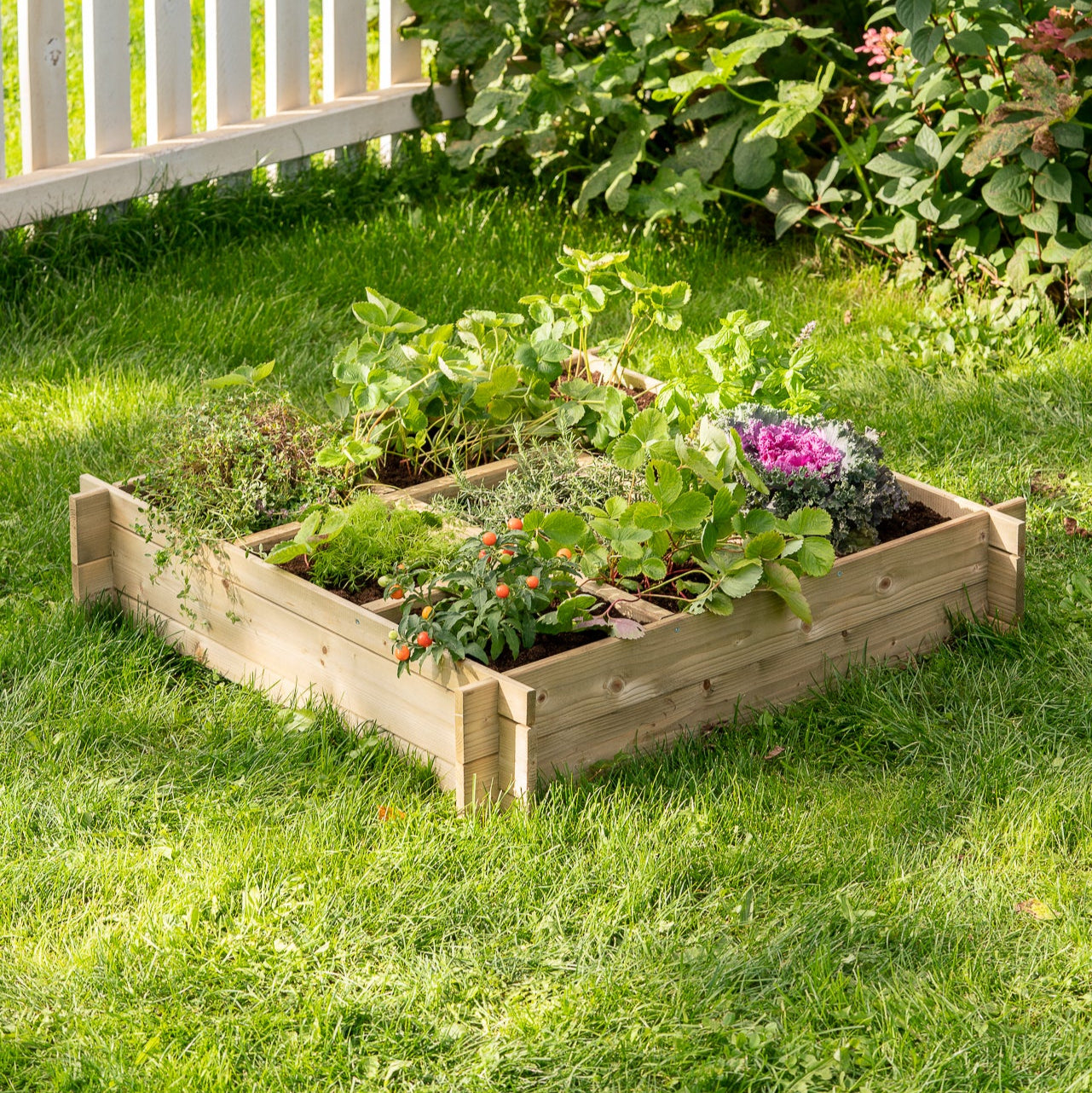 Vegetable bed with 9 sections