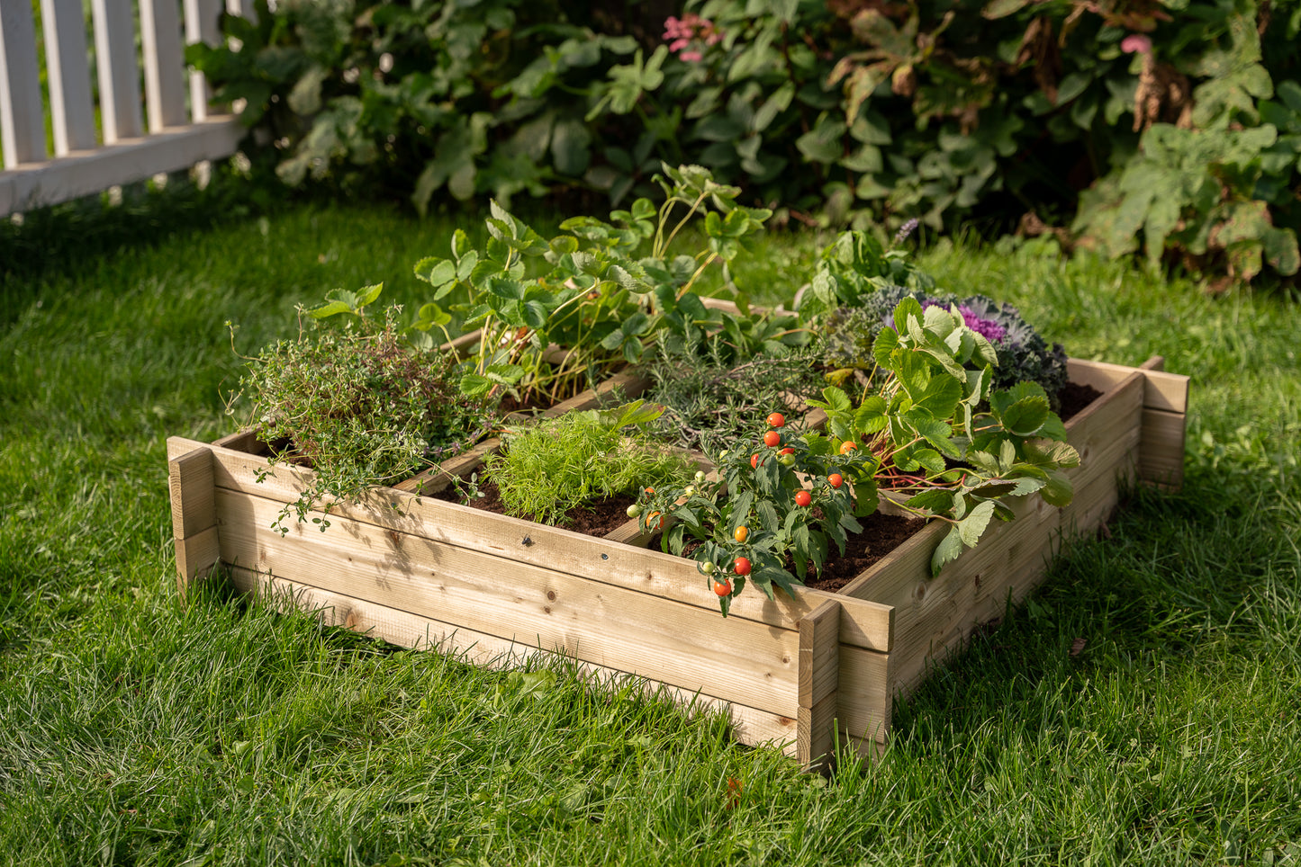 Vegetable bed with 9 sections