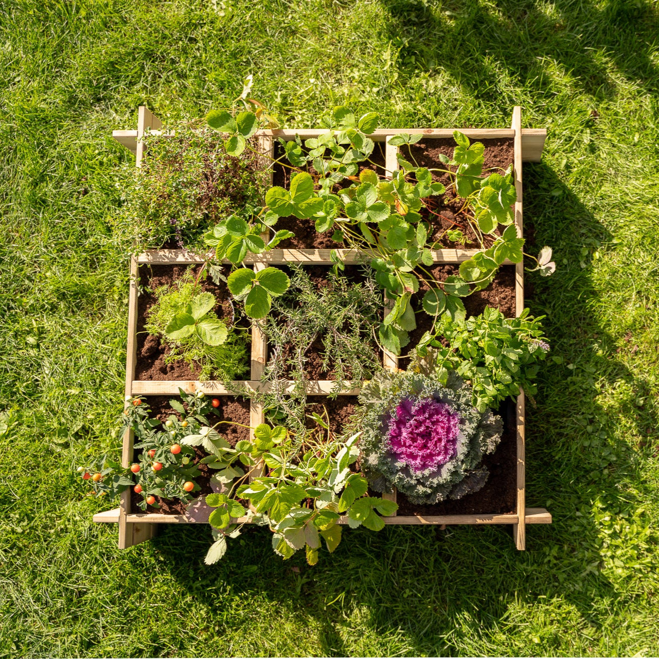 Vegetable bed with 9 sections