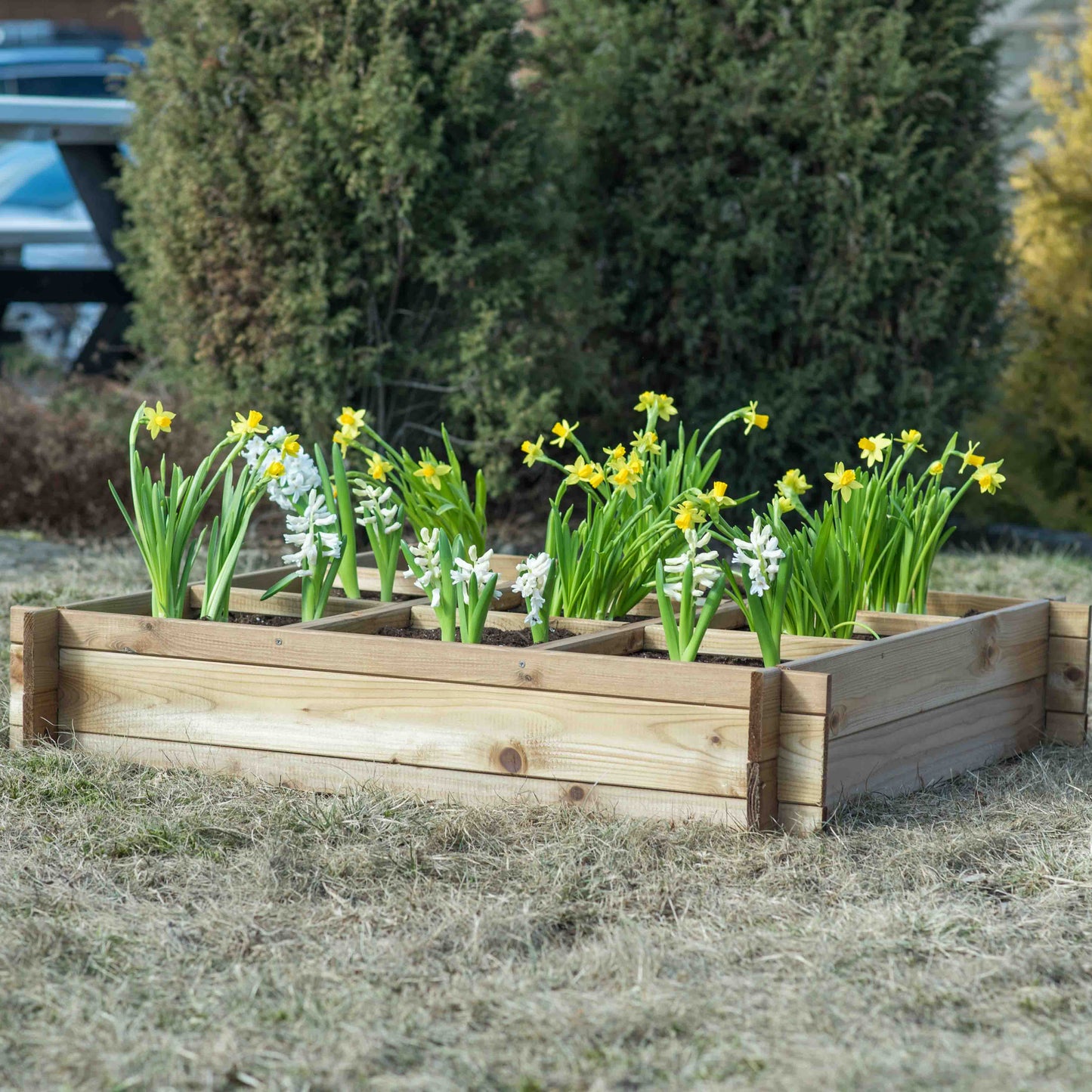 Vegetable bed with 9 sections