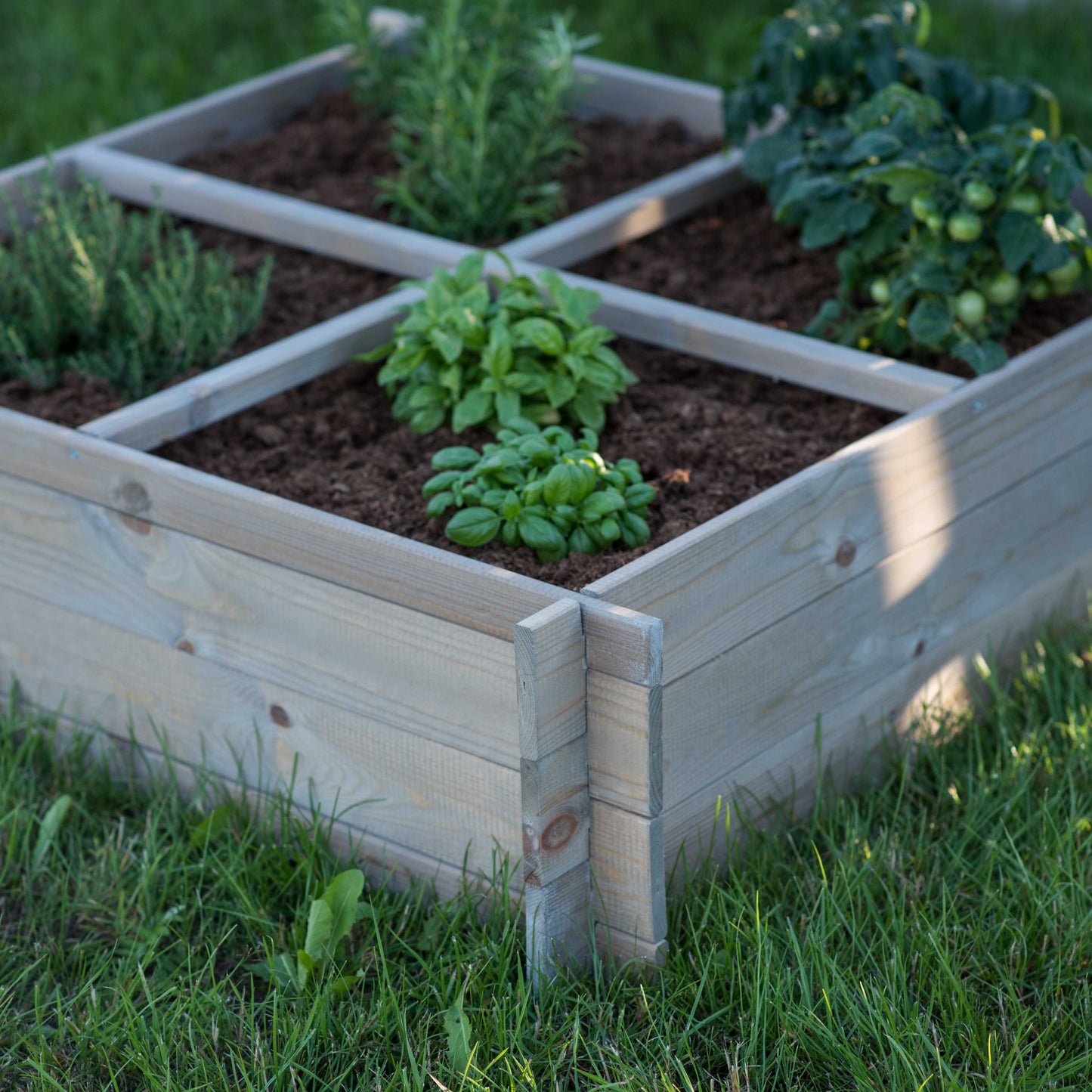 Vegetable bed with 4 sections