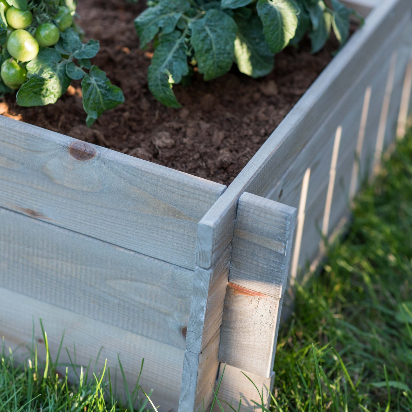 Vegetable bed with 4 sections